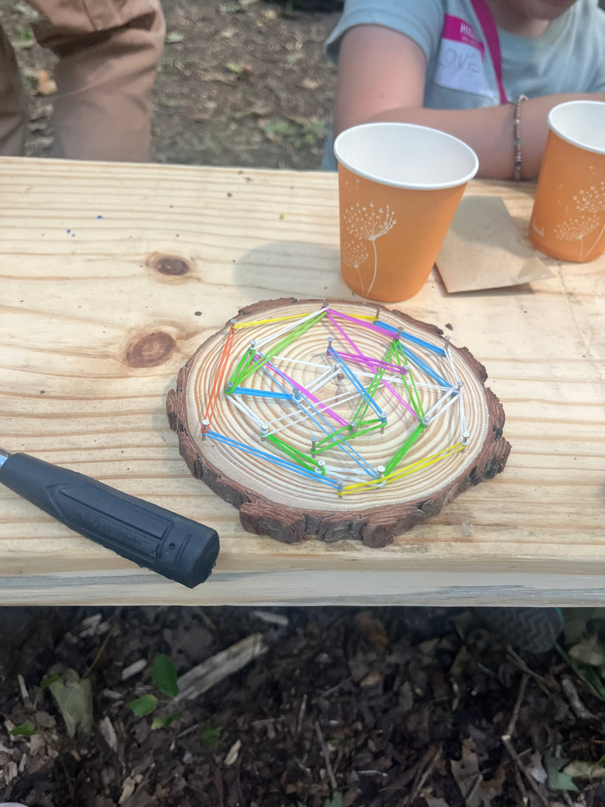 Wild Roots: Starting a Forest School & Practicing Conservation