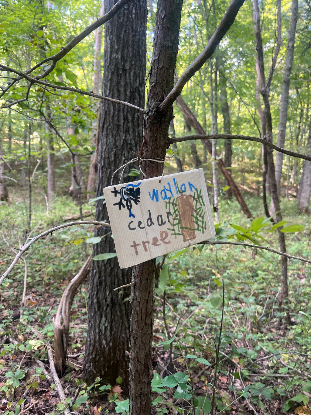 Wild Roots: Starting a Forest School & Practicing Conservation