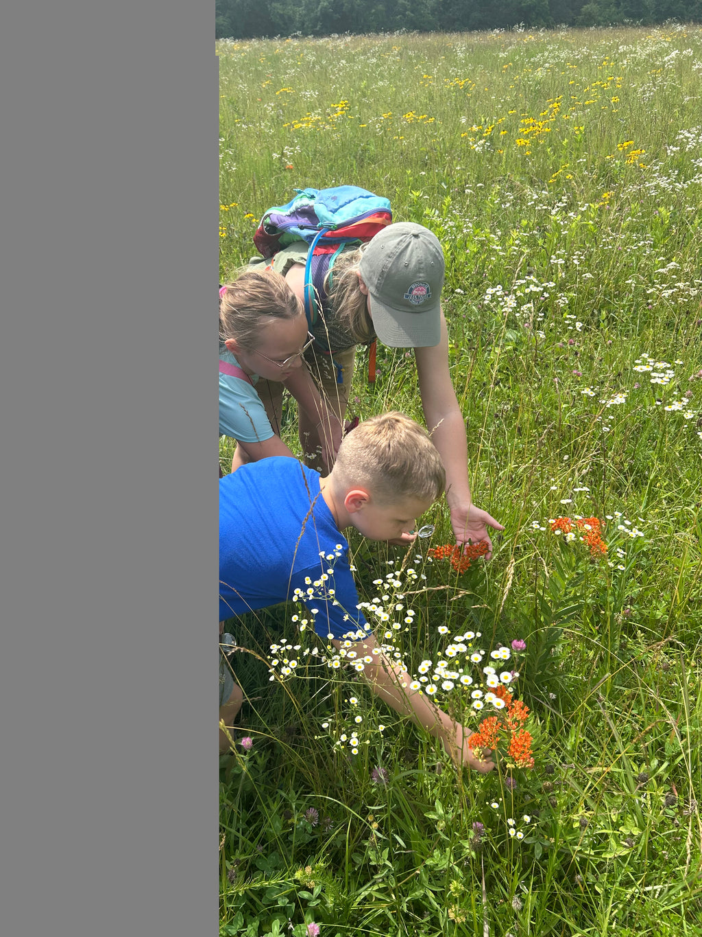 Wild Roots: Starting a Forest School & Practicing Conservation