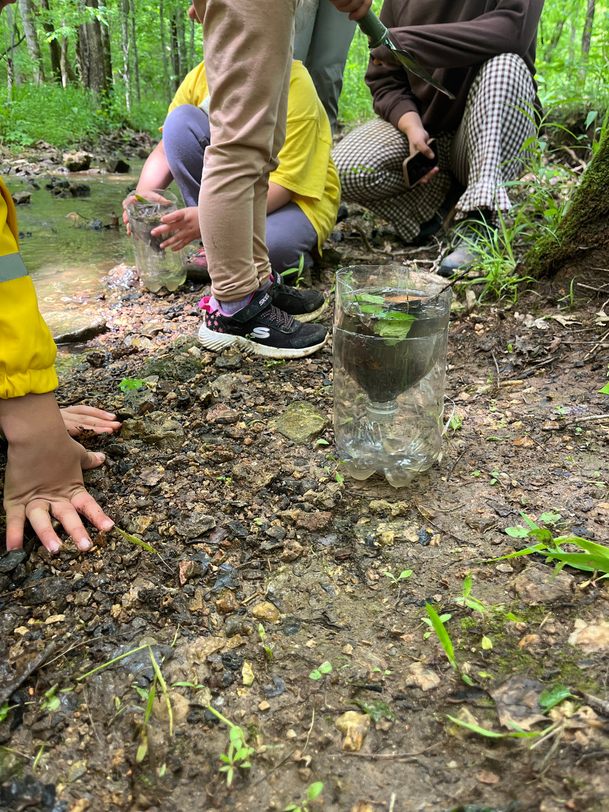 Water Filter Lesson
