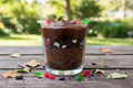 Dirt Cup Recipe- Peanut Butter Edition!