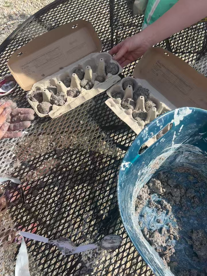 Wild Roots: Starting a Forest School & Practicing Conservation
