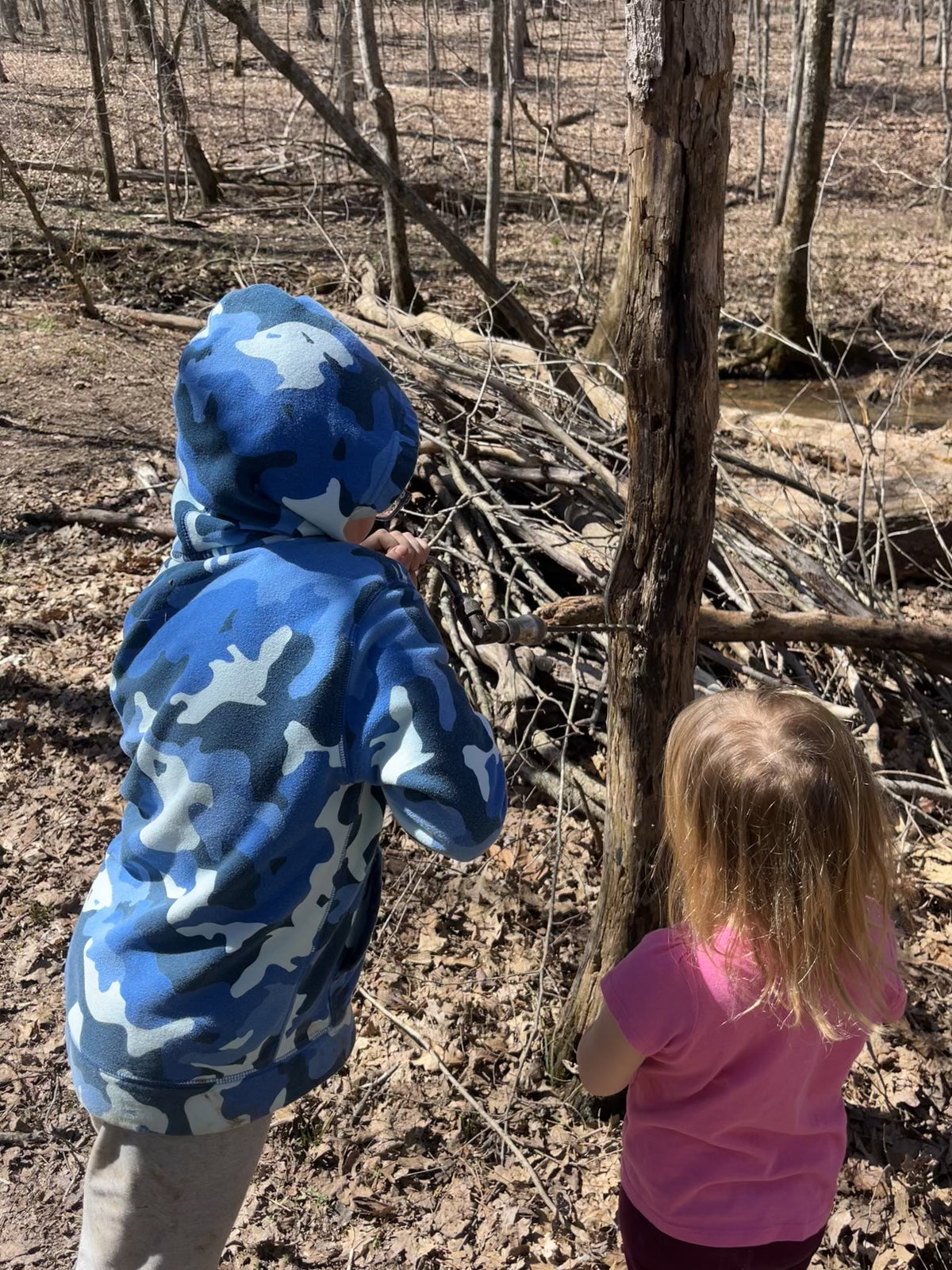 Wild Roots: Starting a Forest School & Practicing Conservation