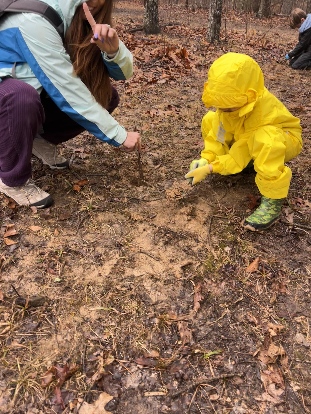 Wild Roots: Starting a Forest School & Practicing Conservation